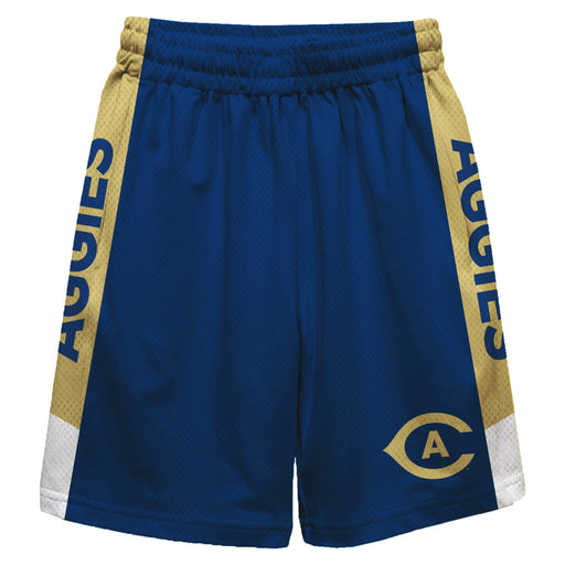 UC Davis Aggies Vive La Fete Game Day Blue Stripes Boys Solid Gold Athletic Mesh Short