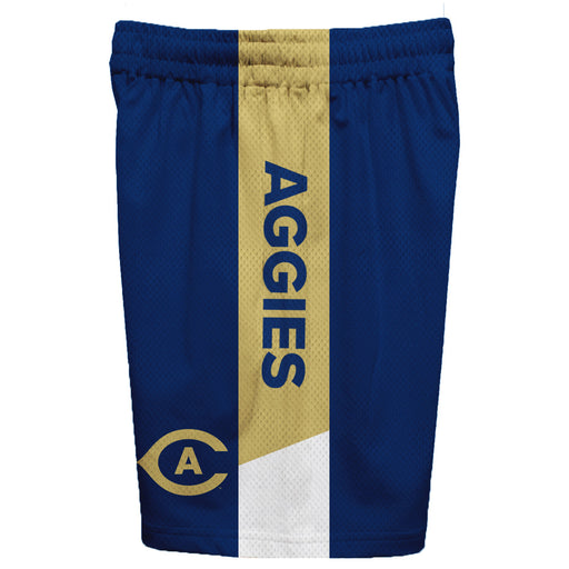 UC Davis Aggies Vive La Fete Game Day Blue Stripes Boys Solid Gold Athletic Mesh Short - Vive La Fête - Online Apparel Store