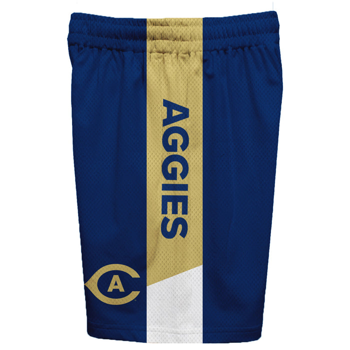 UC Davis Aggies Vive La Fete Game Day Blue Stripes Boys Solid Gold Athletic Mesh Short - Vive La Fête - Online Apparel Store