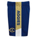 UC Davis Aggies Vive La Fete Game Day Blue Stripes Boys Solid Gold Athletic Mesh Short - Vive La Fête - Online Apparel Store