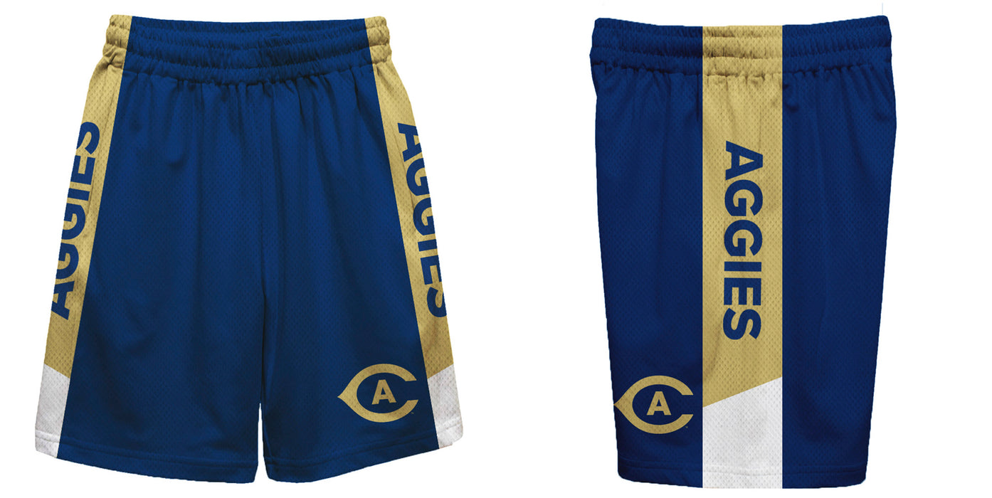 UC Davis Aggies Vive La Fete Game Day Blue Stripes Boys Solid Gold Athletic Mesh Short - Vive La Fête - Online Apparel Store