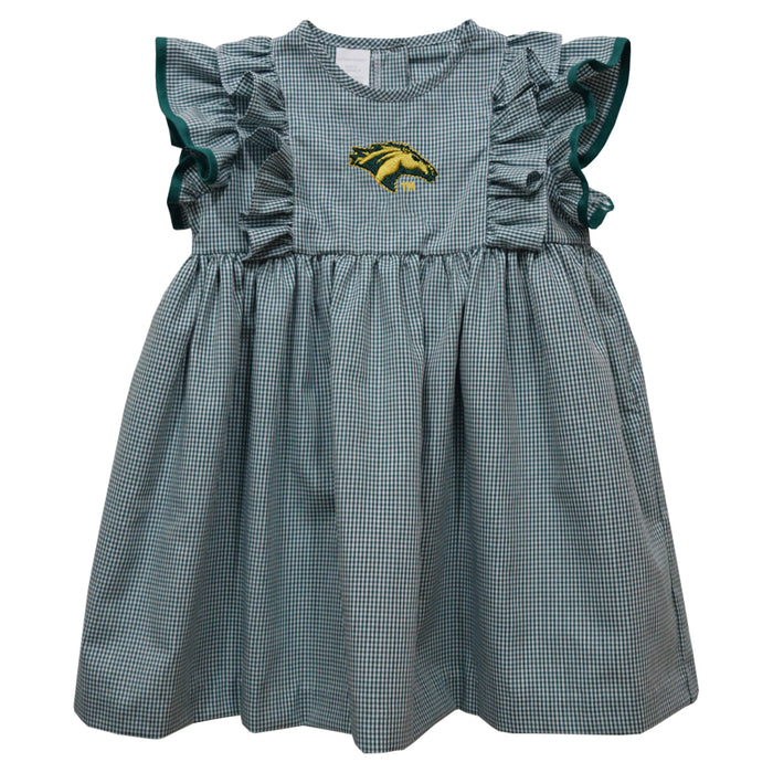 Cal Poly California State Polytechnic Pomona Broncos Embroidered Hunter Green Gingham A Line Dress 6 - High Quality Apparels - Vive La Fete Cal Poly California State Polytechnic Pomona Broncos Embroidered Hunter Green Gingham A Line Dress 6 - High Quality Apparels - Vive La Fete