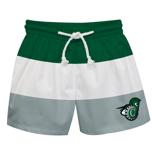 Castleton University Spartans Vive La Fete Green Stripes Swimtrunks V1