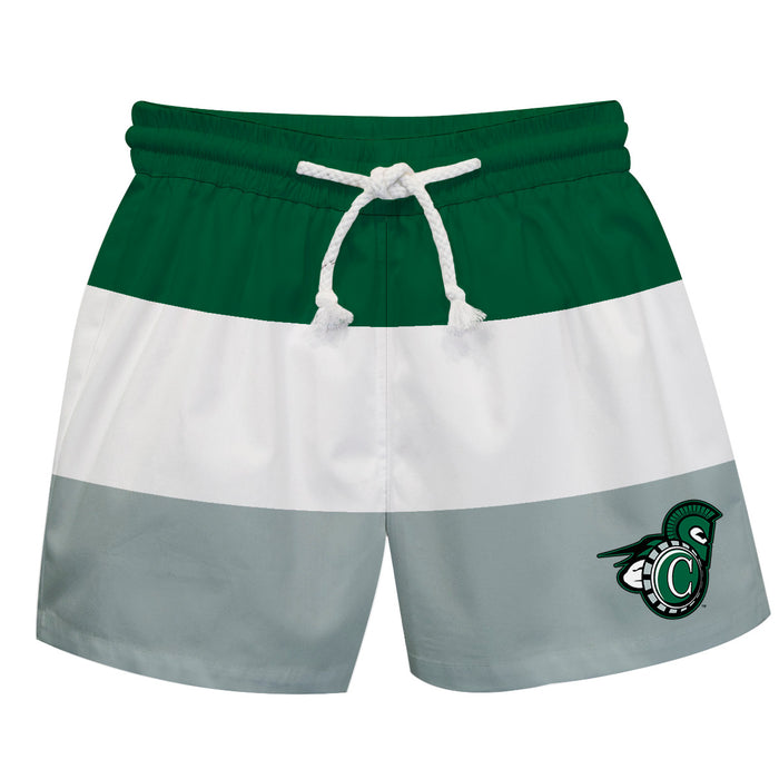 Castleton University Spartans Vive La Fete Green Stripes Swimtrunks V1
