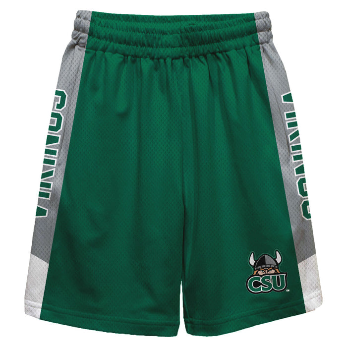 Cleveland State Vikings Vive La Fete Game Day Green Stripes Boys Solid Gray Athletic Mesh Short