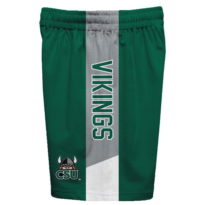 Cleveland State Vikings Vive La Fete Game Day Green Stripes Boys Solid Gray Athletic Mesh Short