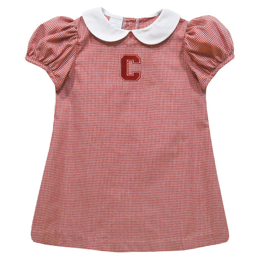Cornell Big Red Embroidered Cardinal Red Gingham Short Sleeve A Line Dress