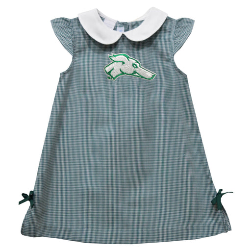 ENMU Eastern New Mexico Greyhounds Embroidered Hunter Green Gingham A Line Dress - Vive La Fête - Online Apparel Store