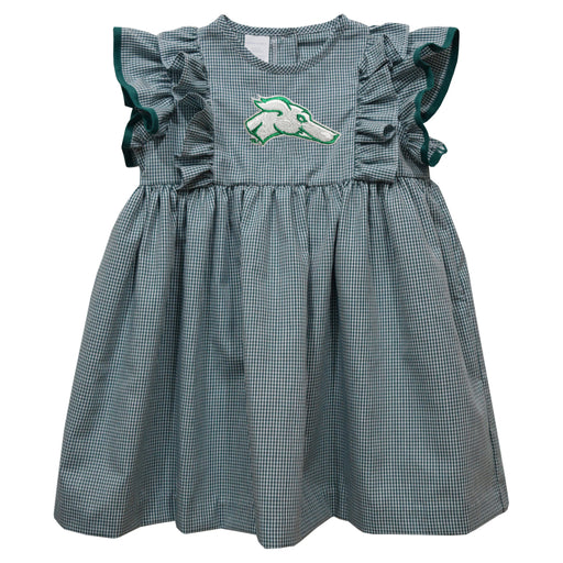 Eastern New Mexico University Greyhounds ENMU Embroidered Hunter Green Gingham Ruffle Dress - Vive La Fête - Online Apparel Store