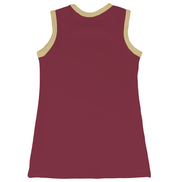 Florida State Seminoles Sleeveless Cheerleader A Line Dress White and Gold