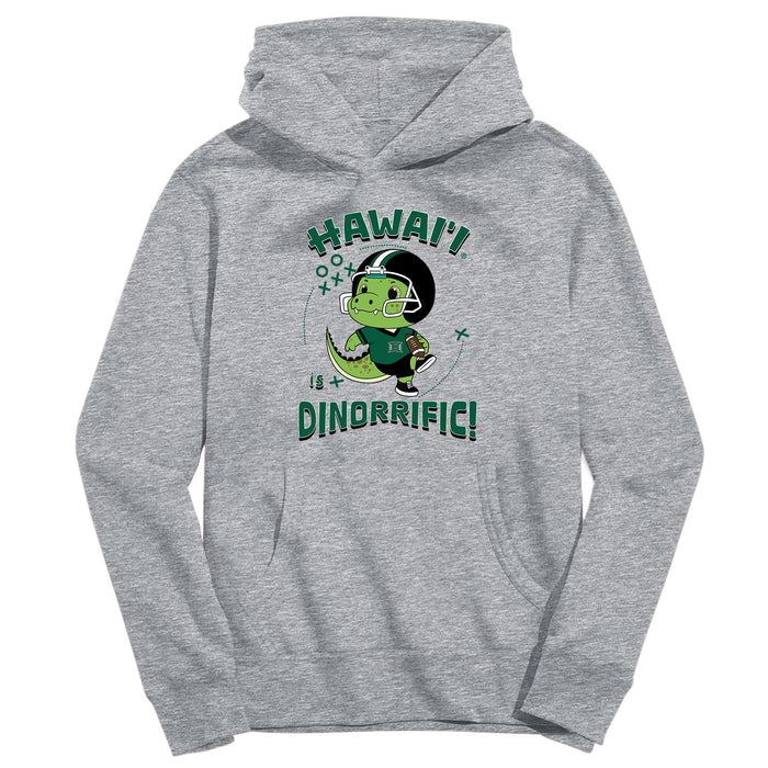 Hawaii Rainbow Warriors Dinorrific Heather Grey Cotton Youth Hoodie