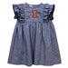 Illinois Fighting Illini Embroidered Navy Gingham Ruffle Dress