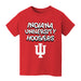 Indiana Hoosiers Boys Game Day Red Cotton Short Sleeve Tee