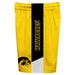 Iowa Vive La Fete Game Day Gold Stripes Boys Solid Black Athletic Mesh Short - Vive La Fête - Online Apparel Store