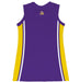 LSU Tigers Sleeveless Cheerleader A Line Dress Purple - Vive La Fête - Online Apparel Store