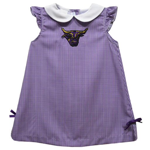 Minnesota State Mavericks Embroidered Purple Gingham  A Line Dress
