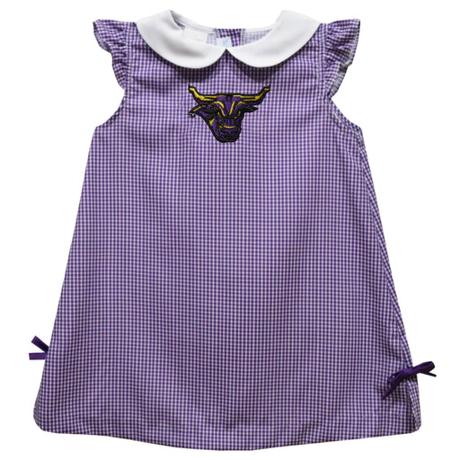 Minnesota State Mavericks Embroidered Purple Gingham  A Line Dress