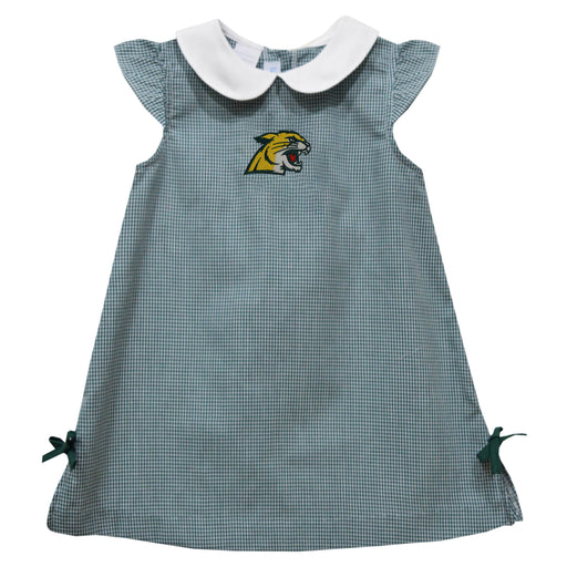 NMU Northern Michigan Wildcats Embroidered Hunter Green Gingham A Line Dress