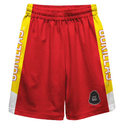Pittsburgh State Gorillas Vive La Fete Game Day Red Stripes Boys Solid Gold Athletic Mesh Short