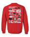 St. Josephs Hawks Hand Sketched Artwork Red Crewneck Sweatshirt for Women - Vive La Fête - Online Apparel Store