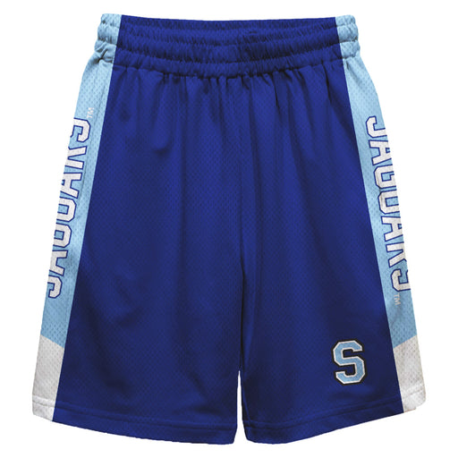 Spelman College Jaguars Vive La Fete Game Day Blue Stripes Boys Solid Blue Athletic Mesh Short
