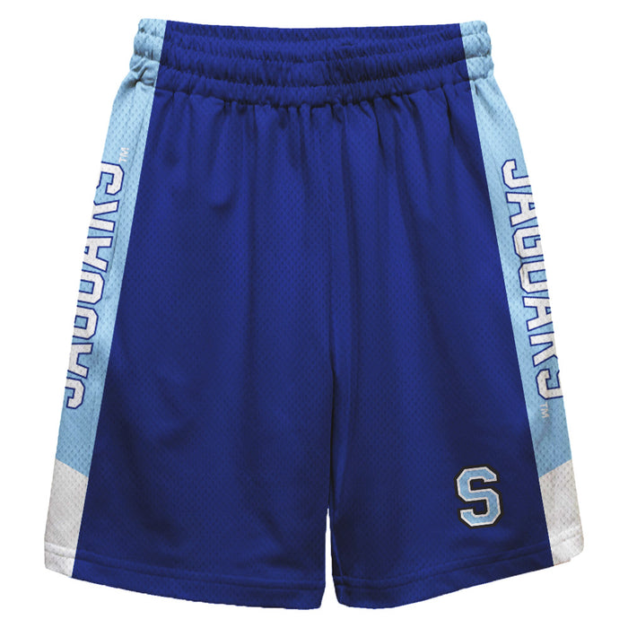 Spelman College Jaguars Vive La Fete Game Day Blue Stripes Boys Solid Blue Athletic Mesh Short