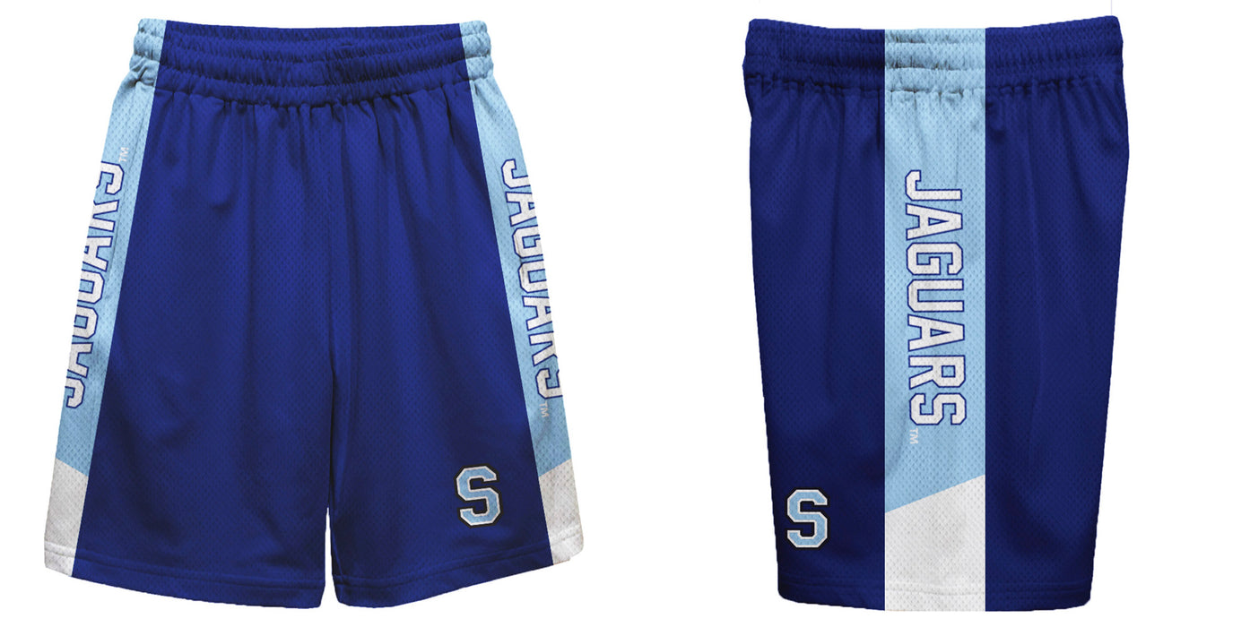 Spelman College Jaguars Vive La Fete Game Day Blue Stripes Boys Solid Blue Athletic Mesh Short