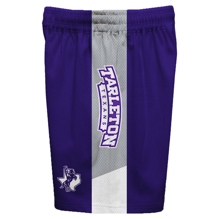 Tarleton State Texans Vive La Fete Game Day Purple Stripes Boys Solid Gray Athletic Mesh Short - Vive La Fête - Online Apparel Store