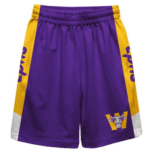 Williams College Ephs Vive La Fete Game Day Purple Stripes Boys Solid Gold Athletic Mesh Short