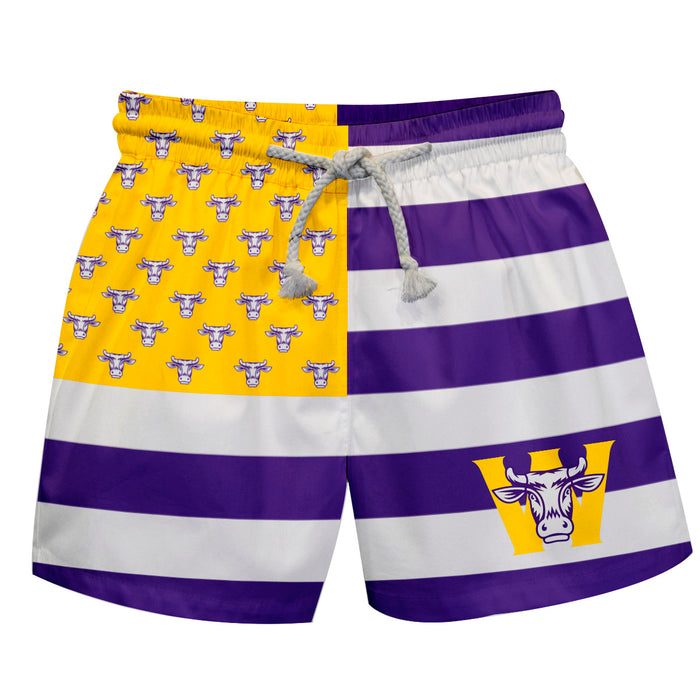 Williams College Ephs Vive La Fete Game Day Purple Flag Swimtrunks V1