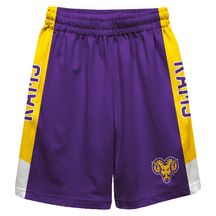 West Chester Golden Rams Vive La Fete Game Day Purple Stripes Boys Solid Gold Athletic Mesh Short