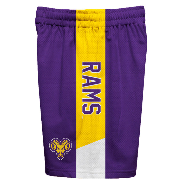 West Chester Golden Rams Vive La Fete Game Day Purple Stripes Boys Solid Gold Athletic Mesh Short - Vive La Fête - Online Apparel Store