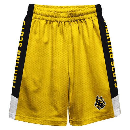 Wooster College Fighting Scots Vive La Fete Game Day Gold Stripes Boys Solid Black Athletic Mesh Short