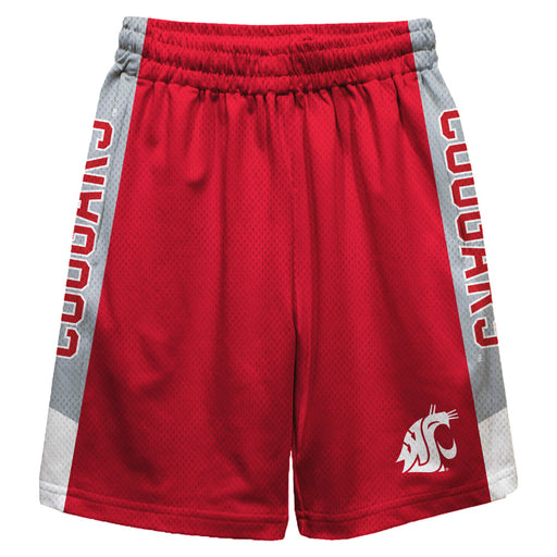 Washington State Cougars Vive La Fete Game Day Red Stripes Boys Solid Gray Athletic Mesh Short