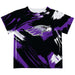 Williams College Ephs Vive La Fete Boys Game Day Black Short Sleeve Tee Paint Brush