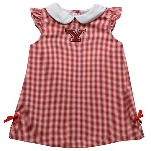 Youngstown State Penguins Embroidered Red Cardinal Gingham A Line Dress