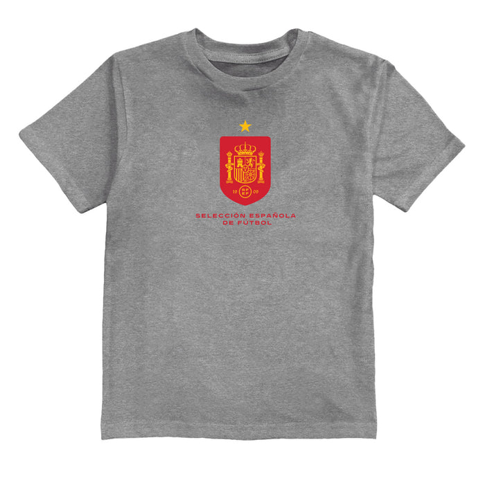Spain National Team Grey Youth Cotton T-Shirt