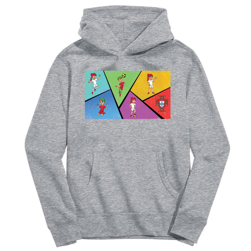 Federación Portuguesa de Futbol Youth Gray Pullover Cotton Hoodie