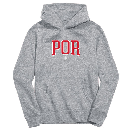 Federación Portuguesa de Futbol Youth Gray Pullover Cotton Hoodie