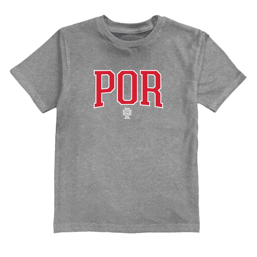 Federación Portuguesa de Futbol Youth Cotton T-Shirt Gray