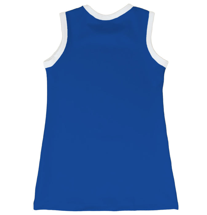 Royal and White Sleeveless Cheerleader A Line Dress - Vive La Fête - Online Apparel Store