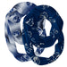 Arkansas Fort Smith Lions Vive La Fete All Over Logo Collegiate Women Set of 2 Light Weight Ultra Soft Infinity Scarfs