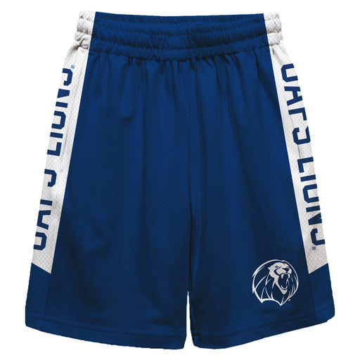 Arkansas Fort Smith UAFS Lions Vive La Fete Game Day Navy Stripes Boys Solid White Athletic Mesh Short