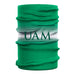 University of Arkansas Monticello UAM Ball Weevils Degrade Logo Collegiate Face Cover Soft 4-Way Stretch Neck Gaiter - Vive La Fête - Online Apparel Store