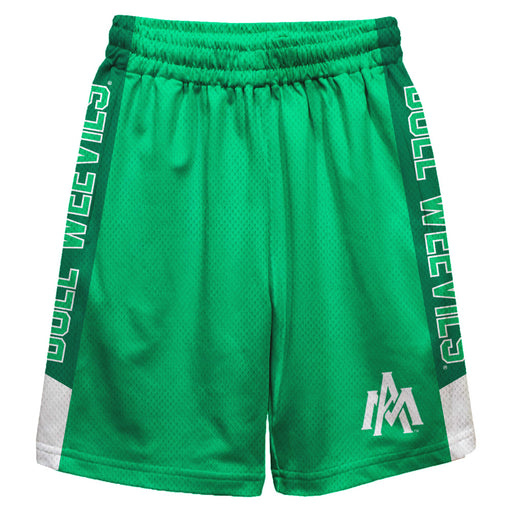 University of Arkansas Monticello Boll Weevils Vive La Fete Game Day Green Stripes Boys Solid Athletic Mesh Short
