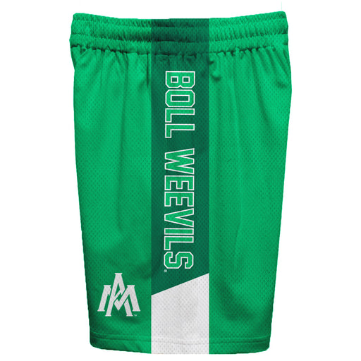 University of Arkansas Monticello Boll Weevils Vive La Fete Game Day Green Stripes Boys Solid Athletic Mesh Short - Vive La Fête - Online Apparel Store