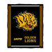 UAPB Goden Lions Vive La Fete Kids Game Day Black Plush Soft Minky Blanket 36 x 48 Mascot