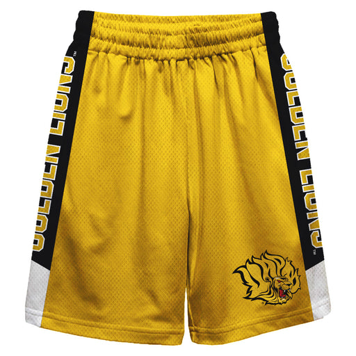 UAPB Golden Lions Vive La Fete Game Day Gold Stripes Boys Solid Black Athletic Mesh Short