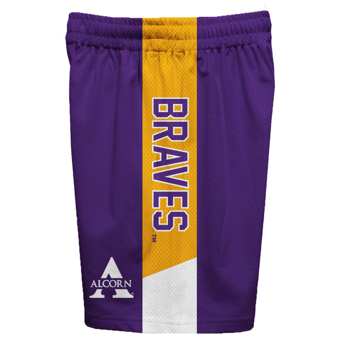 Alcorn State Braves ASU Vive La Fete Game Day Purple Stripes Boys Solid Gold Athletic Mesh Short - Vive La Fête - Online Apparel Store