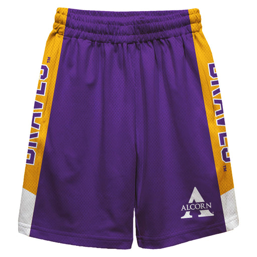 Alcorn State Braves ASU Vive La Fete Game Day Purple Stripes Boys Solid Gold Athletic Mesh Short